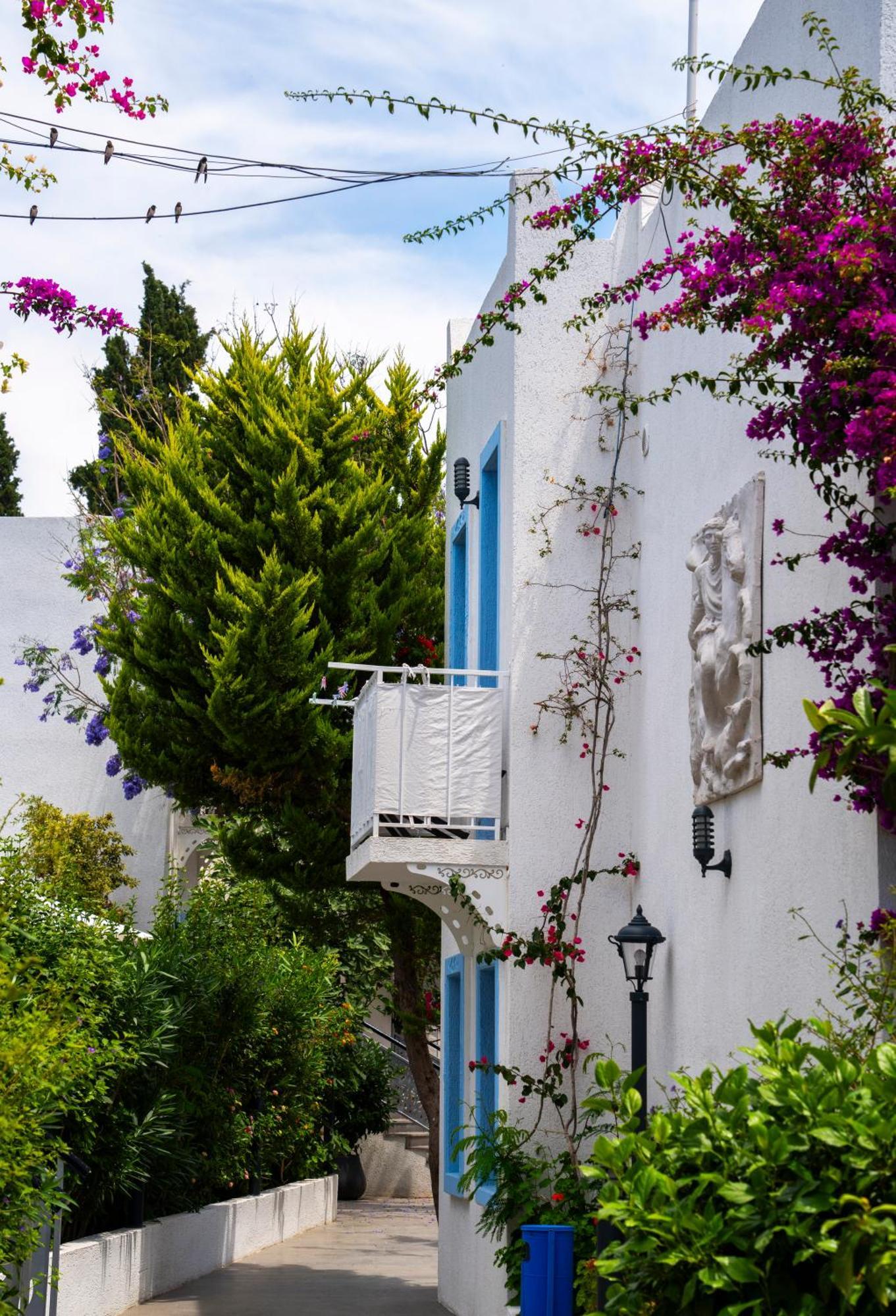 Manuela Hotel Bitez Exterior foto