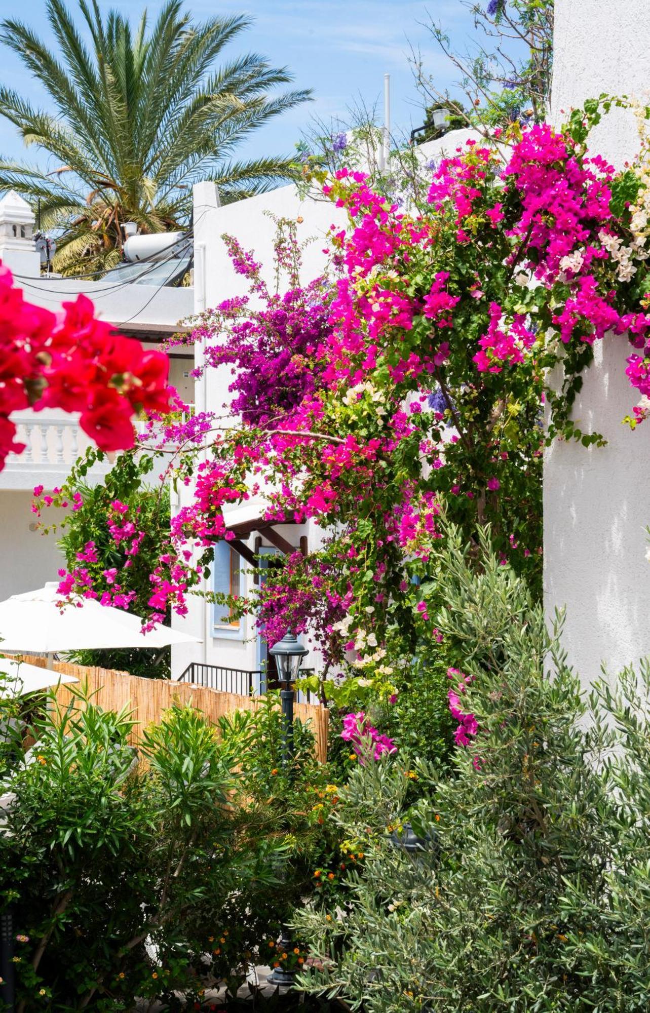 Manuela Hotel Bitez Exterior foto