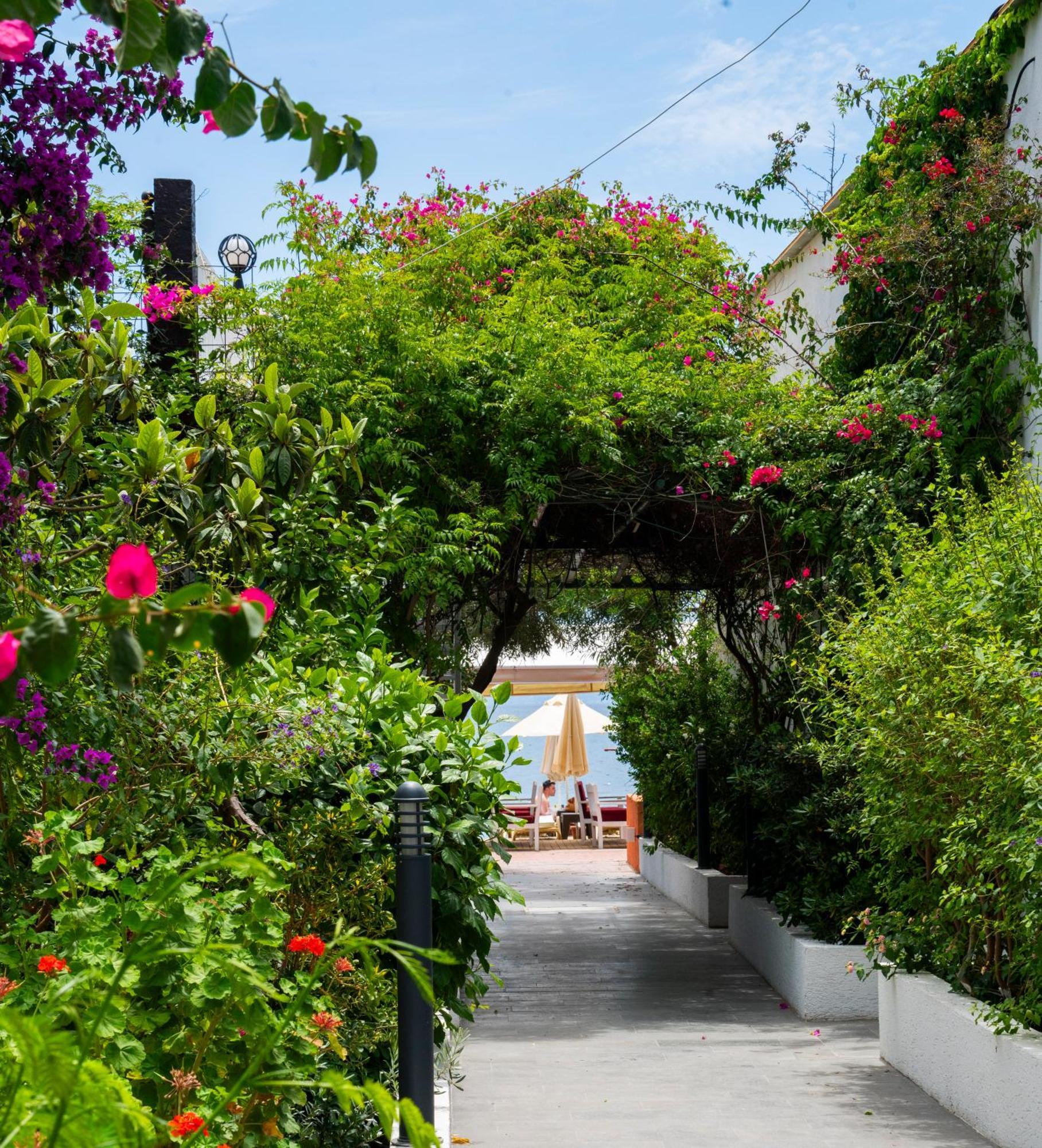 Manuela Hotel Bitez Exterior foto